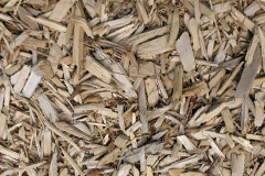 biomass boilers Treaddow